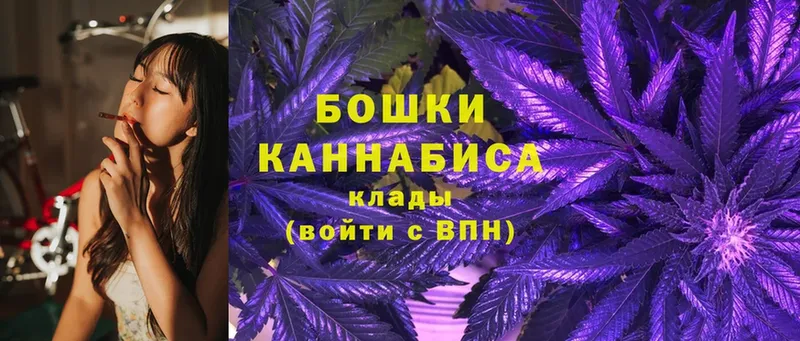 Конопля Bruce Banner  Зима 